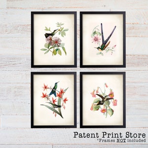 Hummingbird Print Set, Hummingbird Art, Botanical Art, Botanical Prints, Wall Art, Bird Prints, Botanical Wall Art. Hummingbird Poster. 248