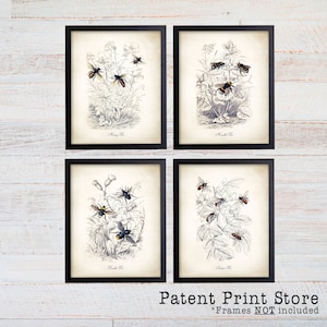 Bee Prints. Honey Bee Art. Farmhouse Wall Decor. Bumble Bee Print. Honey Bee Print, Farmhouse Decor. Bee Art. Beekeeping Prints. Bee Decor.