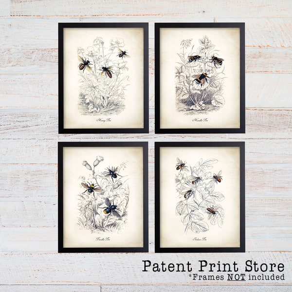 Vintage Bee Botanical Prints, Farmhouse Wall Decor (Set of 4)