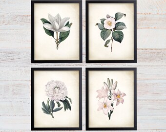 Redoute White Flower Botanical Print Set