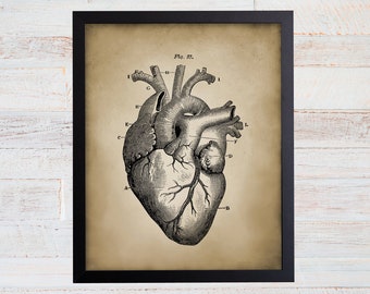 Anatomical Heart Print, Human Heart Anatomy Print, Heart Illustration, Heart Anatomy Print, Vintage Medical Illustration, Heart Wall Art