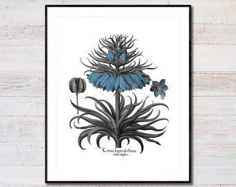 Vintage Blue Botanical Print. Botanical Print. Art Print. Blue Flower Art. Antique Botanical Prints. Wall Art. Farmhouse Decor.Bathroom Art.