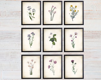 Wild Flower Art Prints. Wildflower Art. Wildflower Prints. Farmhouse Art. Floral art prints. Botanical prints. Botanical Wall Art Decor.