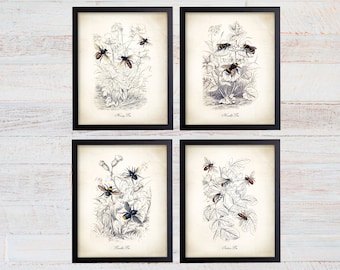 Bee Prints. Honey Bee Art. Farmhouse Wall Decor. Bumble Bee Print. Honey Bee Print, Farmhouse Decor. Bee Art. Beekeeping Prints. Bee Decor.