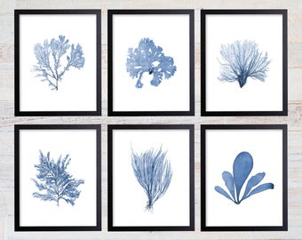 Blue Sea Coral Print Set, Coral Art Set, Giclee Art Print, Beach House Art, Coastal Art, Prints and Posters, Coral Print, Illustration. 244