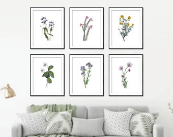 Vintage Wildflower Botanical Art Prints. Botanical Print. Wildflower Print. Botanical poster. Botanical Art. Farmhouse Art Prints. Flowers.