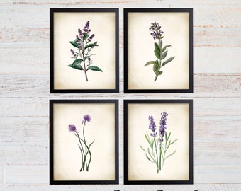 Purple Herb Botanical Art Prints. Herb Prints. Herb Wall Art. Botanical Print. Kitchen Prints. Dining. Botanical Wall Art. Farmhouse Decor.
