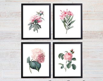 Redoute Botanical Print Set. Botanical Print. Art Print. Wall Art. Flower Prints. Pink Flower Prints. Posters. Dining Room Art. Bedroom. 255