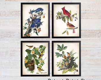 Audubon Birds Print Set, John James Audubon Birds of America, Posters, Botanical, Red Cardinal, Blue Jay, American Robin, Oriole Prints. 247