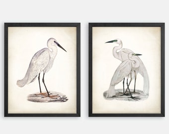 Coastal Heron Print Set. Bird Prints. Heron Art Prints. Coastal Art, Beach House Wall Art. Coastal Decor. Beach Cottage Art. Nautical Art