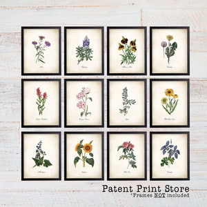 Vintage Wildflower Prints. Botanical Print Set. Wildflower Art. Vintage Botanical Art. Wildflower Decor. Farmhouse Art. Botanical Wall Art.