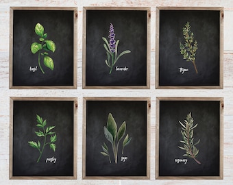 Herb Botanical Art Prints. Herb Prints. Herb Wall Art. Botanical Print. Kitchen Art Prints. Dining. Botanical Wall Art. Farmhouse Decor. 360
