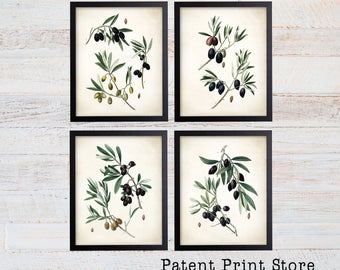 OLIVE TREE ART PRINT Book Print 213B NATURE ART PRINT Vintage Dictionary Art Print VINTAGE Art BOTANICAL ARTWORK Illustration GIFT OLIVE BRANCH ART PRINT Wall Hanging