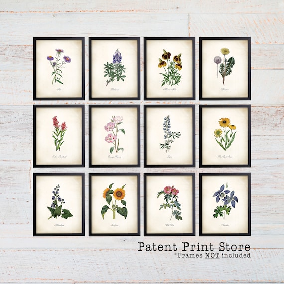 Vintage Wildflower Prints. Botanical Print Set. Wildflower Art. Vintage Botanical Art. Wildflower Decor. Farmhouse Art. Botanical Wall Art.