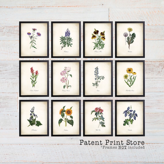 Vintage Wildflower Prints. Botanical Print Set. Wildflower Art. Vintage  Botanical Art. Wildflower Decor. Farmhouse Art. Botanical Wall Art. 