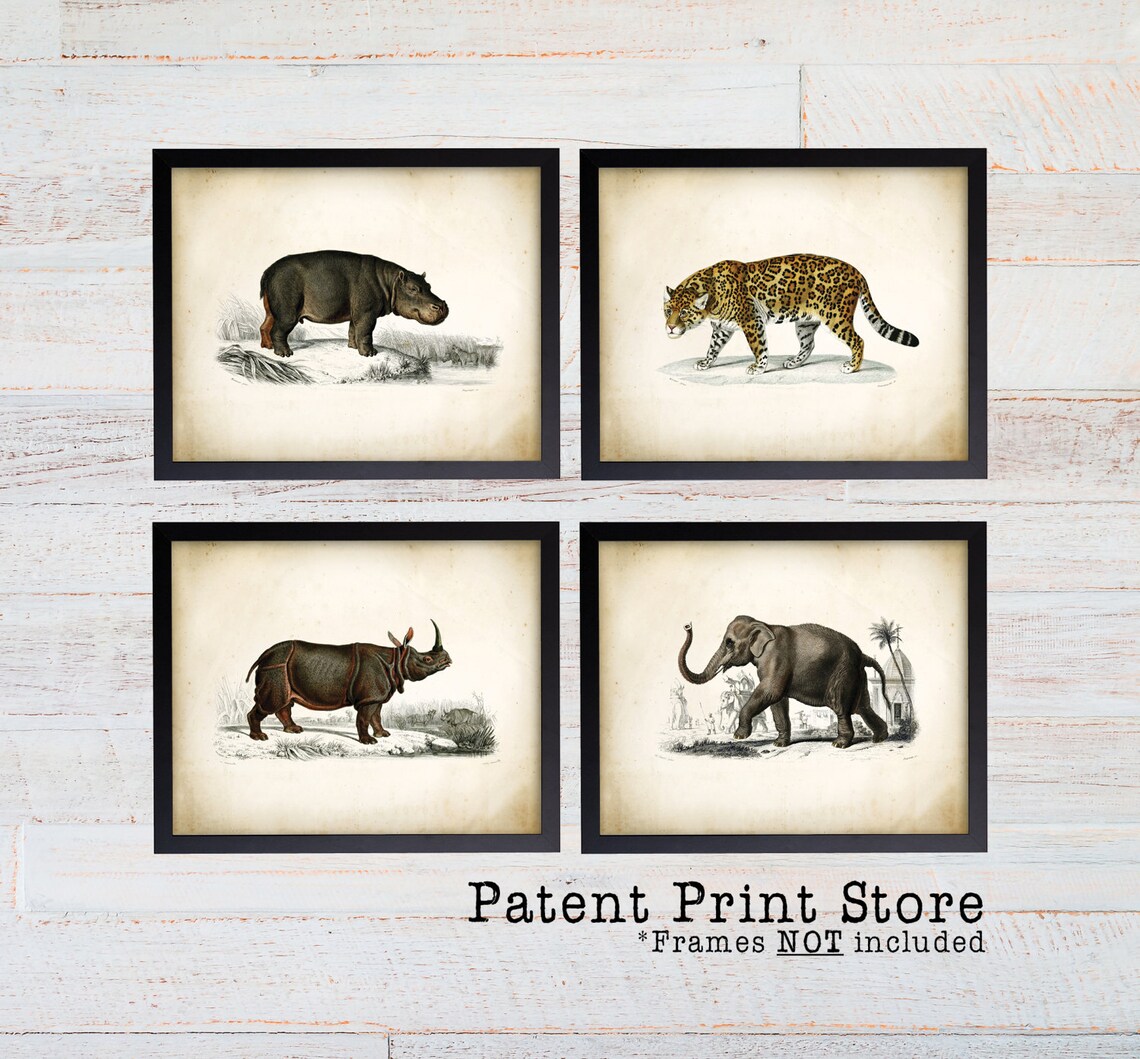 Safari Art Prints. Vintage Safari Nursery Art. Safari | Etsy