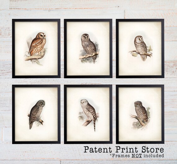 Rustic Owl Art Prints. Owl Print Set. Owl Art. Bedroom Decor. Owl Decor Art. Bedroom Wall Art Prints. Dining Room Art Prints. Farmhouse. 159