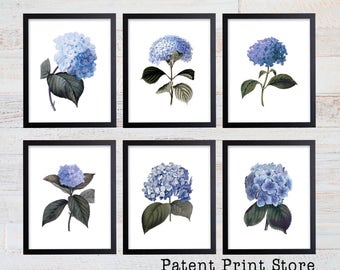 Blue Hydrangea Art. Blue Hydrangea Prints. Blue Botanical Prints. Flower Prints. Botanical Print. Dining. Botanical Wall Art. Farmhouse. 205