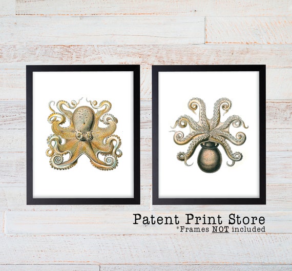 Ernst Haeckel Art Print. Octopus Art. Ernst Haeckel Print. Ernst Haeckel Poster. Nautical Art Print. Nautical Decor. Coastal Art Prints. 241