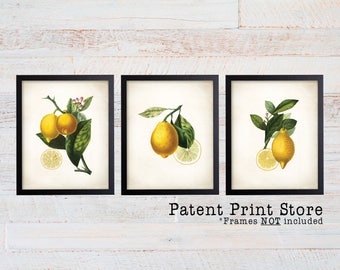 May include: Set of three botanical prints featuring illustrations of lemons with green leaves and branches. The prints are framed in black frames and have a white background.