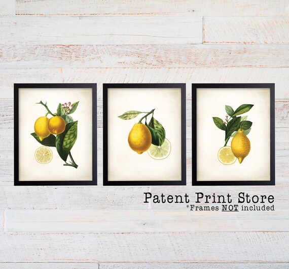 Lemon Botanical Art Prints. Lemon Prints. Flower Wall Art. Botanical Print. Kitchen Art Prints. Dining. Botanical Wall Art. Farmhouse. 225