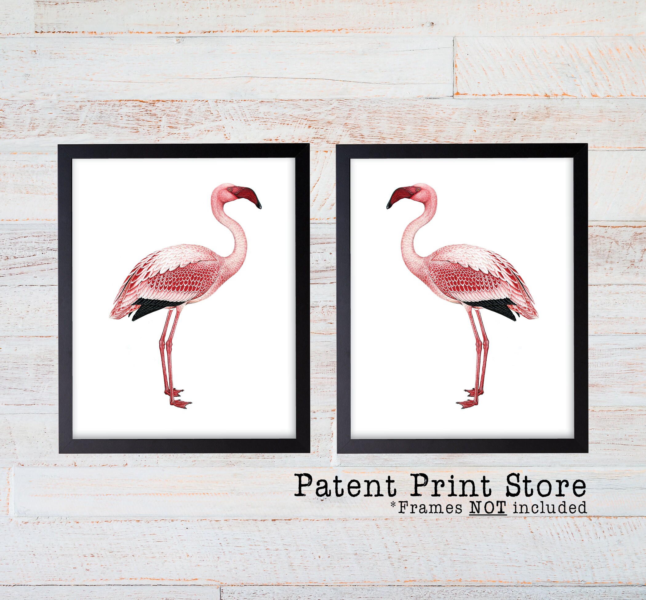 Flamingo Prints. Flamingo Decor. Flamingo Posters. Flamingo | Etsy