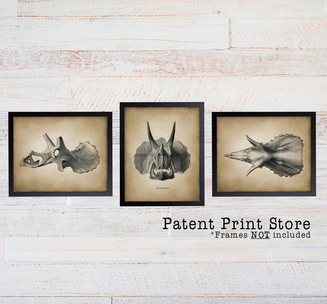 Dinosaur Fossil Wall Art. Dinosaur Print Set. Triceratops Art Etsy