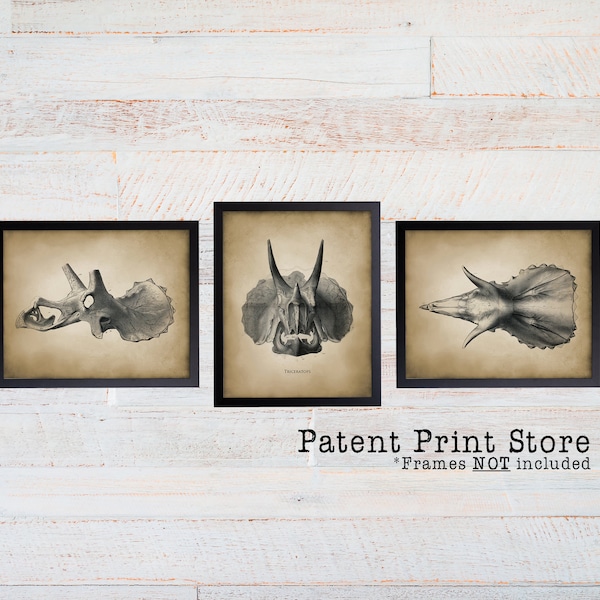 Dinosaur Fossil Wall Art. Dinosaur Print Set. Triceratops Art Print. Fossil Art. Paleontology Art Print. Dinosaur Bedroom Art. Dino Nursery.