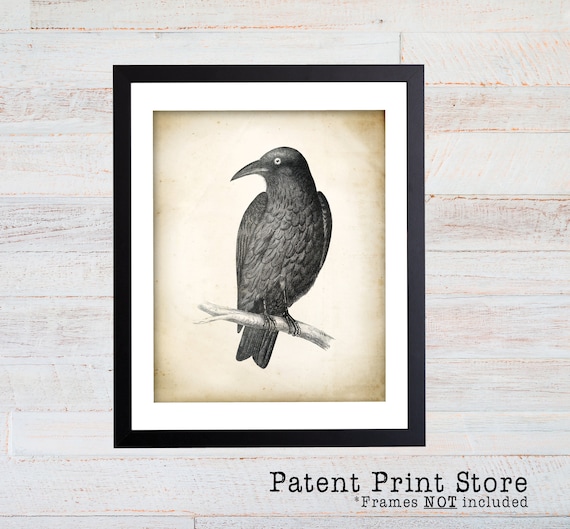 Crow Art Print. Crow Poster. Vintage Crow Illustration. Crow Illustration. Crow Print. Bird Art. Black Crow Bird. Oddities Art. 101