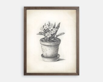 Botanical Sketch Art Print. Potted Plant Sketch Print. Vintage Botanical Print. Vintage Flower Art. Flower Print. Farmhouse Art. French Art
