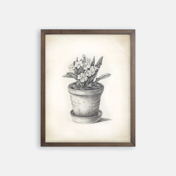 Botanical Sketch Art Print. Potted Plant Sketch Print. Vintage Botanical Print. Vintage Flower Art. Flower Print. Farmhouse Art. French Art