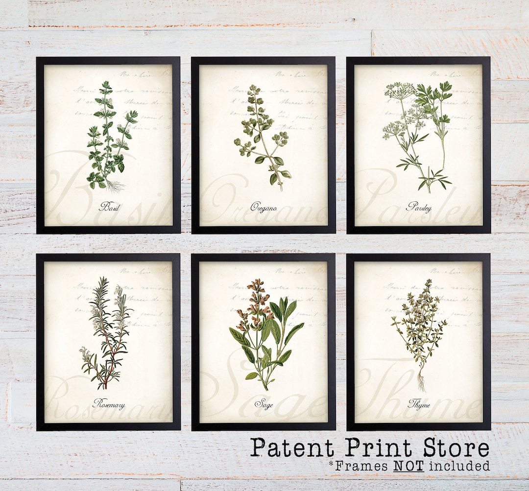 kitchen wall decor art prints - botanical prints -... Herb Botanical Art Prints, Kitchen Wall Decor (set of 6) - Etsy