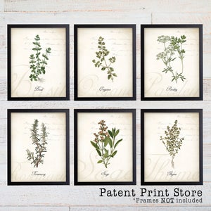 Herb Botanical Art Prints. Herb Prints. Herb Wall Art. Botanical Print. Kitchen Art Prints. Dining. Botanical Wall Art. Farmhouse Decor. 125