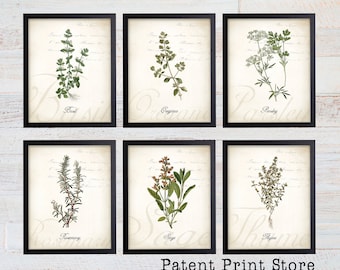 Herb Botanical Art Prints. Herb Prints. Herb Wall Art. Botanical Print. Kitchen Art Prints. Dining. Botanical Wall Art. Farmhouse Decor. 125
