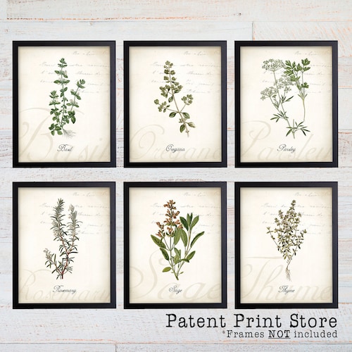 Herbs Print Kitchen Wall Art Botanical Poster Herb Poster Etsy