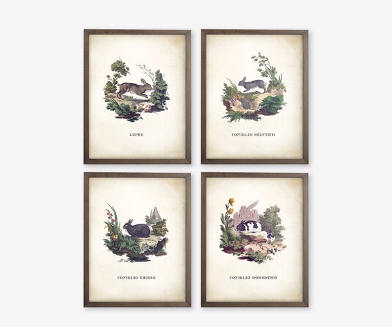 Set of 4 Rabbit Nursery Prints. Vintage Bunny Prints. Bunny Art. Vintage Nursery Art. Woodland Nursery Decor. Fairy Tale Art Prints. Whimsy.