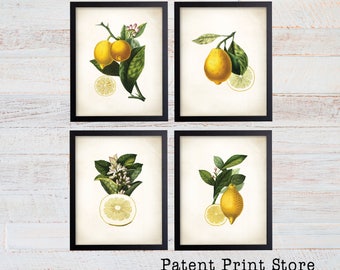 May include: Four framed botanical prints featuring lemons. Each print showcases a different lemon arrangement with leaves and flowers. The lemons are yellow, and the leaves are green. The prints are in black frames. Text at the bottom reads "Patent Print Store".