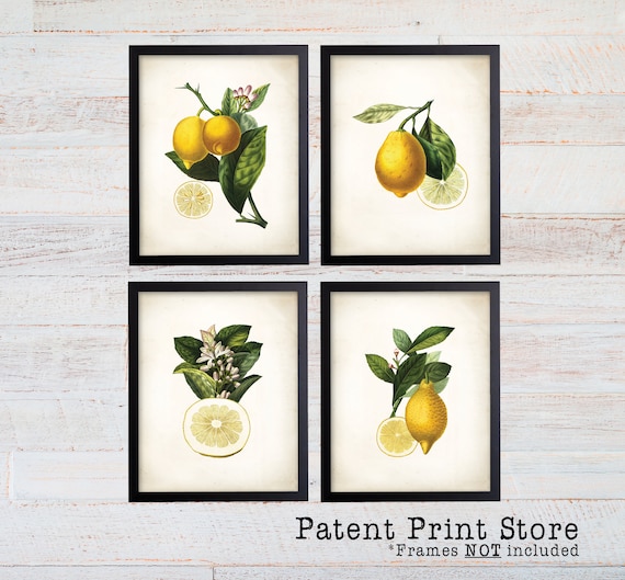 Lemon Botanical Art Prints. Lemon Prints. Flower Wall Art. Botanical Print. Kitchen Art Prints. Dining. Botanical Wall Art. Farmhouse. 224