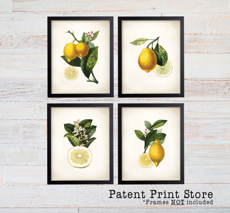 Lemon Botanical Art Prints. Lemon Prints. Flower Wall Art. Botanical Print. Kitchen Art Prints. Dining. Botanical Wall Art. Farmhouse. 224 image 1