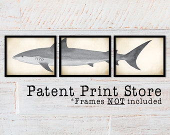 May include: Three black framed prints of a gray shark illustration. The prints are arranged horizontally. The text "Patent Print Store" and "*Frames NOT included" is below the prints.
