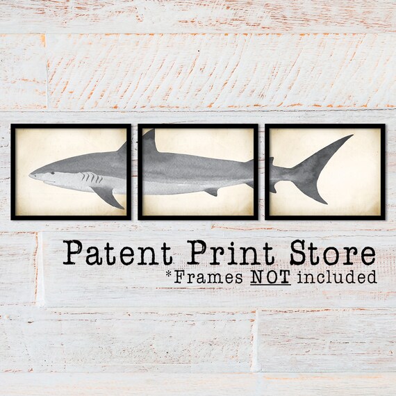 Watercolor Shark Art Prints. Shark Decor. Shark Artwork. Shark Wall Art. Shark Triptych. Rustic Nautical Art. Nautical Prints. 106