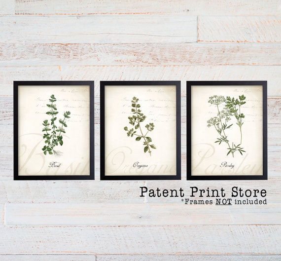 Herb Botanical Art Prints. Herb Prints. Herb Wall Art. Botanical Print. Kitchen Art Prints. Dining. Botanical Wall Art. Farmhouse Decor. 287