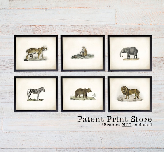 Antique Safari Art Prints. Vintage Safari Nursery Art. Safari Illustration. Safari Nursery Decor. Man Cave. Office Art Prints. Vintage.  144