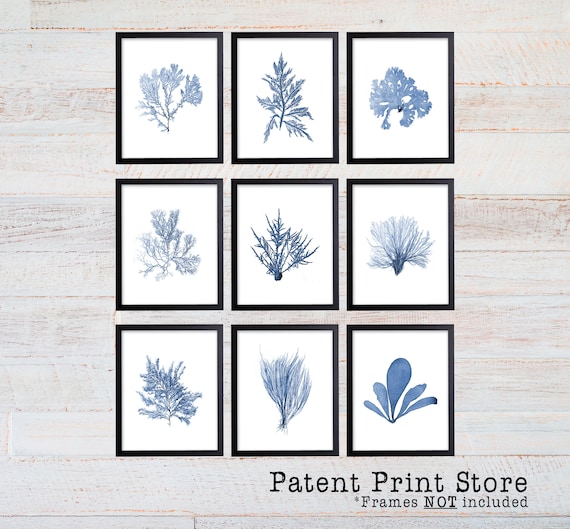 Blue Sea Coral Print Set, Coral Art Set, Giclee Art Print, Beach House Art, Coastal Art, Prints and Posters, Coral Print, Illustration. 243