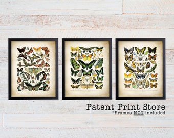 Vintage Butterfly Wall Art. Butterfly Art Prints. Butterfly Decor. Butterfly Wall Art. Rustic Butterfly Art. Farmhouse Art Prints. 107