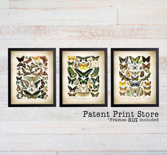 Vintage Butterfly Wall Art. Butterfly Art Prints. Butterfly Decor. Butterfly Wall Art. Rustic Butterfly Art. Farmhouse Art Prints. 107