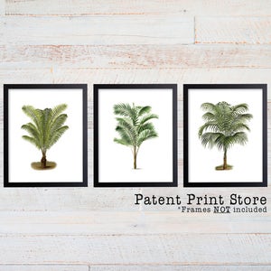 Palm Tree Print Set. Palm Tree Art. Botanical Prints. Coastal. Palm Tree Wall Art. Nautical Art. Botanical Print Set. Beach House Decor.