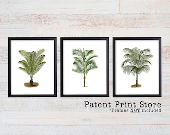 Palm Tree Print Set, Botanical Coastal Wall Art