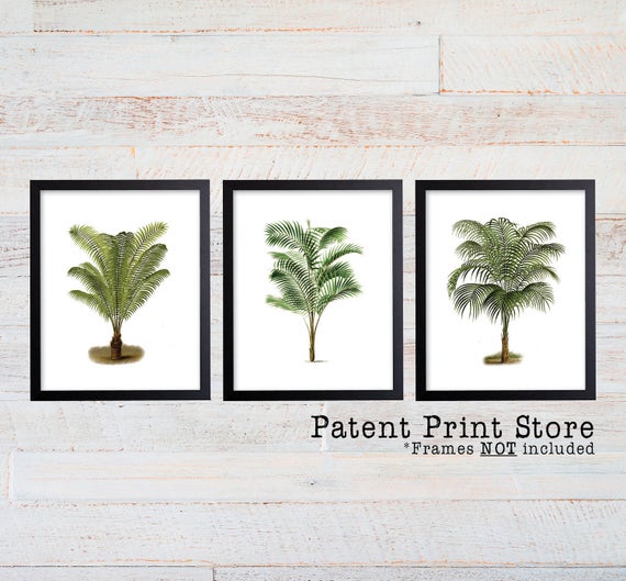 Palm Tree Print Set. Palm Tree Art. Botanical Prints. Coastal. Palm Tree Wall Art. Nautical Art. Botanical Print Set. Beach House Decor.