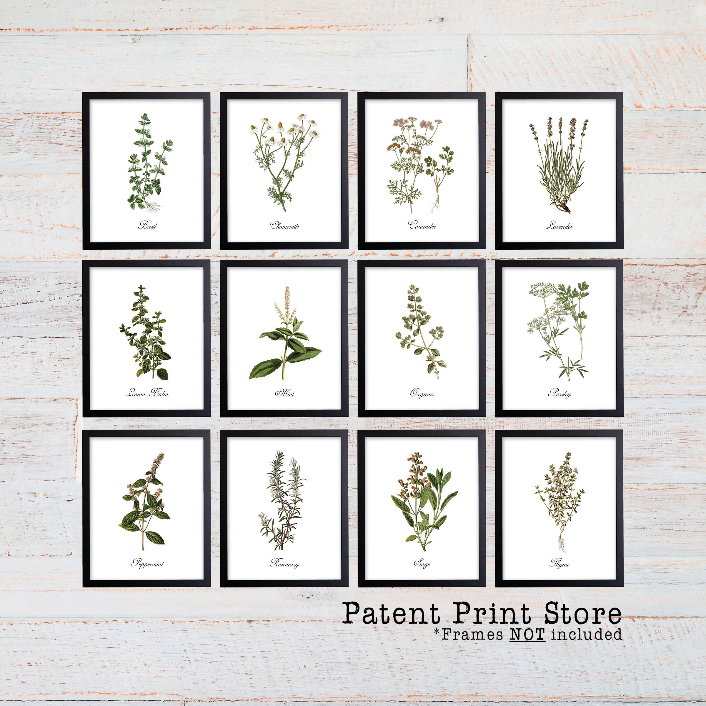 Herb Prints. Herb Botanical Art Prints. Herb Wall Art. - Etsy Australia